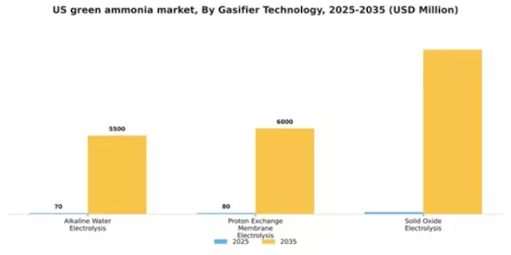 US Green Ammonia Market Segment Image 1