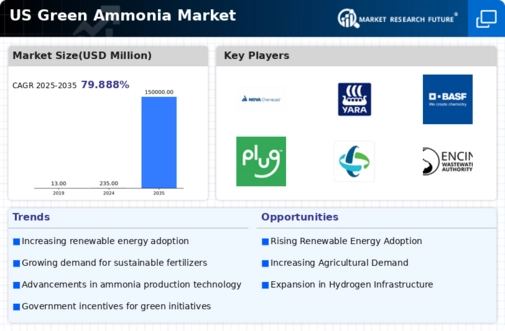 US Green Ammonia Market Infographic