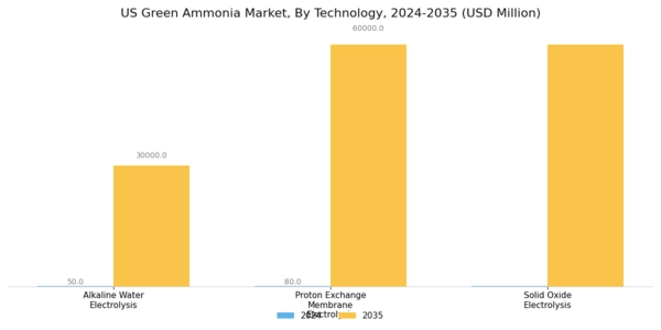 US Green Ammonia Market Segment Image 0