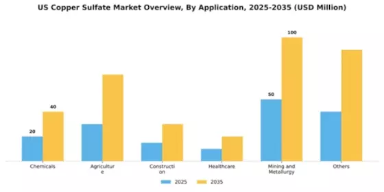 US Copper Sulfate Market Segment Image 0