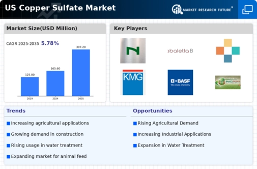 US Copper Sulfate Market Infographic