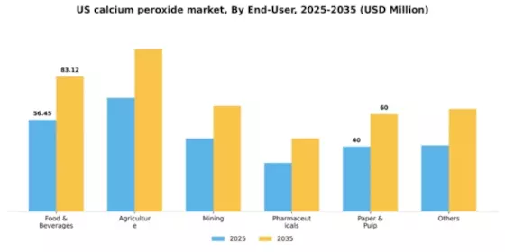 US Calcium Peroxide Market Segment Image 1
