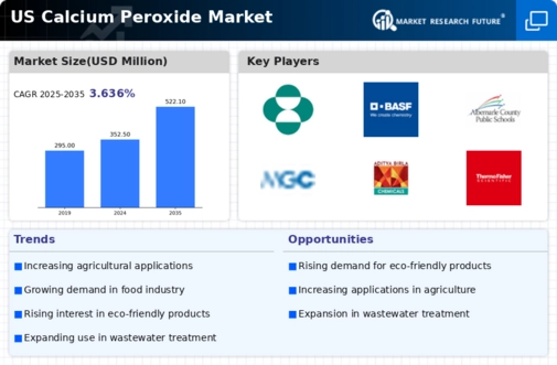 US Calcium Peroxide Market Infographic