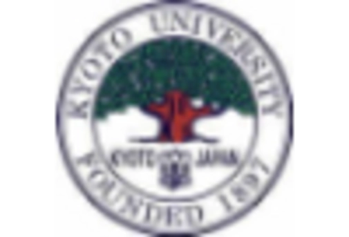 US Polymer Nanocomposites Market key player