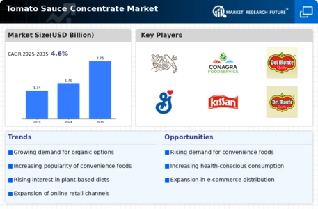 Tomato Sauce Concentrate Market Infographic