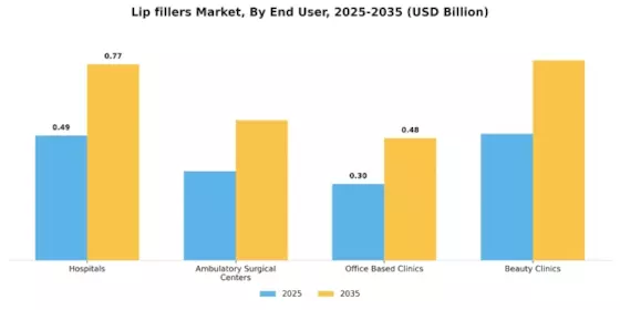 Lip fillers Market Segment Image 0
