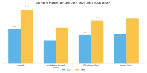 Lip fillers Market Segment Image 1