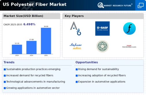US Polyester Fiber Market  Infographic