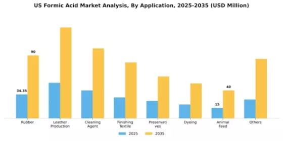 US Formic Acid Market Segment Image 0