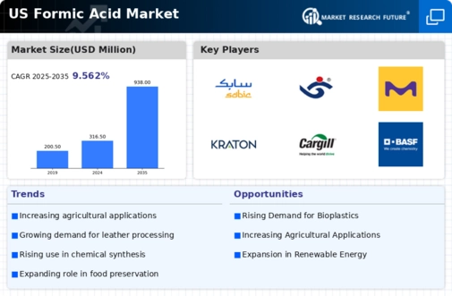 US Formic Acid Market Infographic