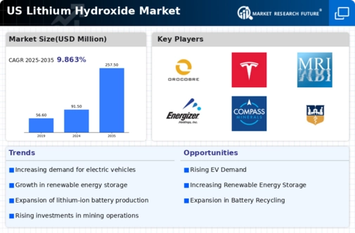 US Lithium Hydroxide Market Infographic