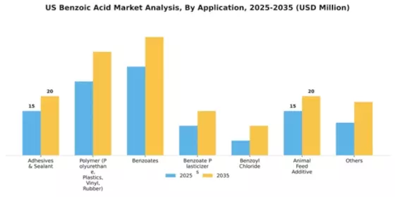 US Benzoic Acid Market Segment Image 0