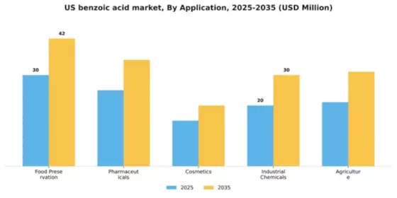 US Benzoic Acid Market Segment Image 0