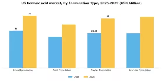 US Benzoic Acid Market Segment Image 3