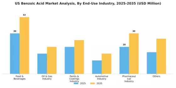 US Benzoic Acid Market Segment Image 1