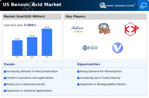 US Benzoic Acid Market Infographic