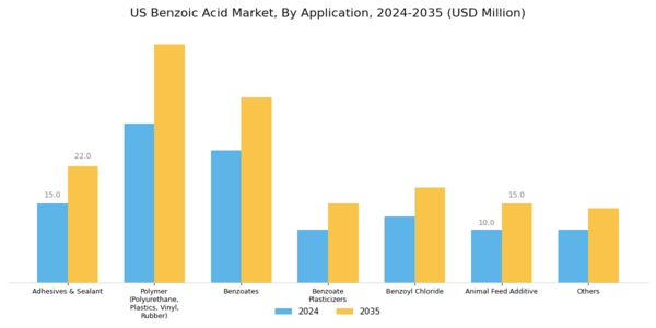 US Benzoic Acid Market Segment Image 0