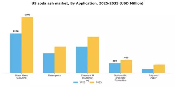 US Soda Ash Market Segment Image 0