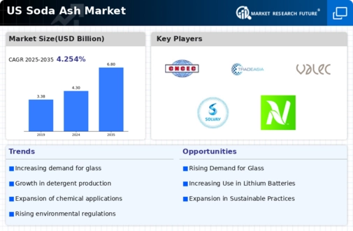 US Soda Ash Market Infographic