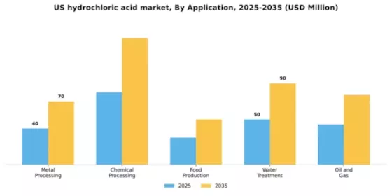 US Hydrochloric Acid Market Segment Image 0