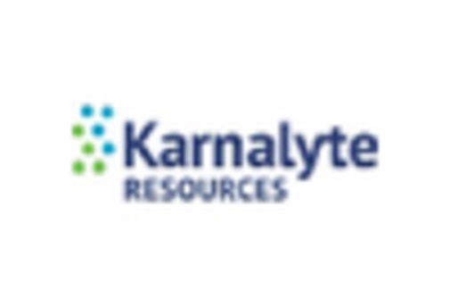 US Chlorotoluene Market key player