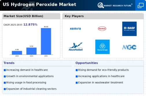 US Hydrogen Peroxide Market Infographic