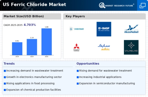 US Ferric Chloride Market Infographic
