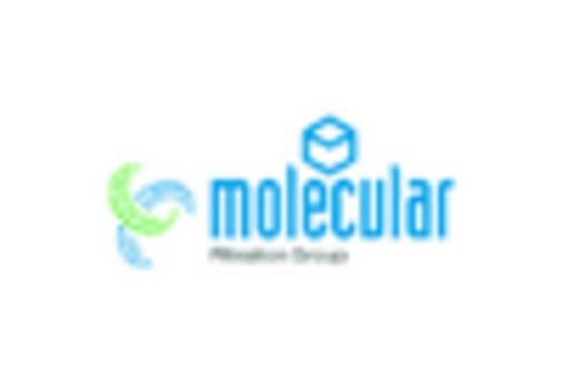 US Molecular Sieves Market key player