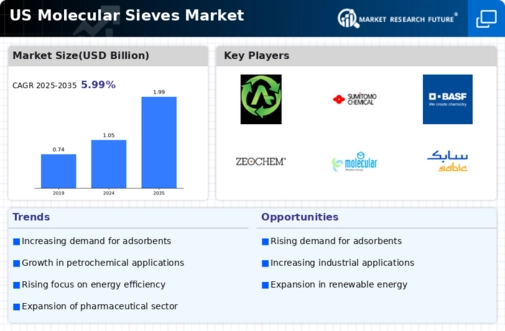 US Molecular Sieves Market Infographic