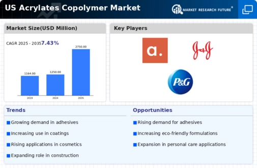 US Acrylates Copolymer Market Infographic
