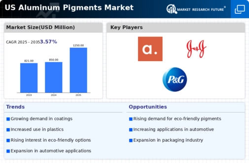 US Aluminum Pigments Market Infographic