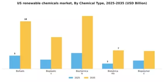 US Renewable Chemicals Market Segment Image 1