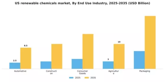 US Renewable Chemicals Market Segment Image 2
