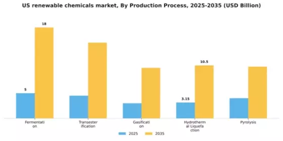 US Renewable Chemicals Market Segment Image 3