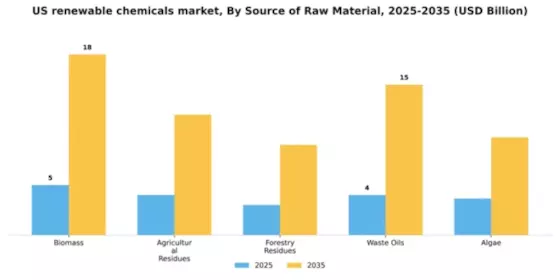 US Renewable Chemicals Market Segment Image 4