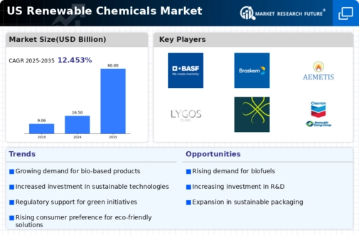 US Renewable Chemicals Market Infographic
