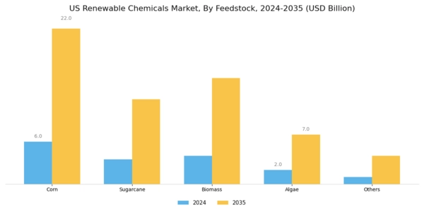 US Renewable Chemicals Market Segment Image 0