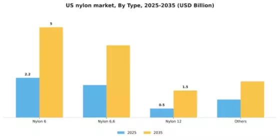 US Nylon market  Segment Image 1