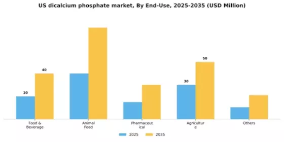 US Dicalcium Phosphate Market Segment Image 0