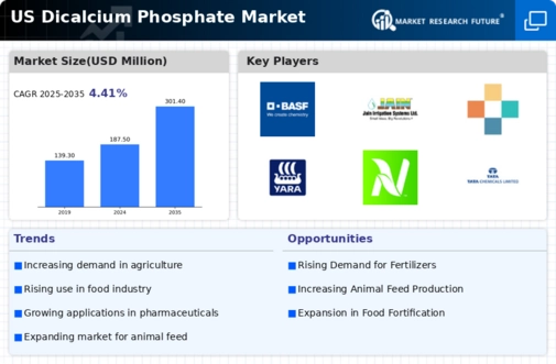 US Dicalcium Phosphate Market Infographic