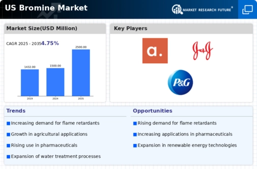 US Bromine Market Infographic