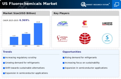 US Fluorochemicals Market Infographic