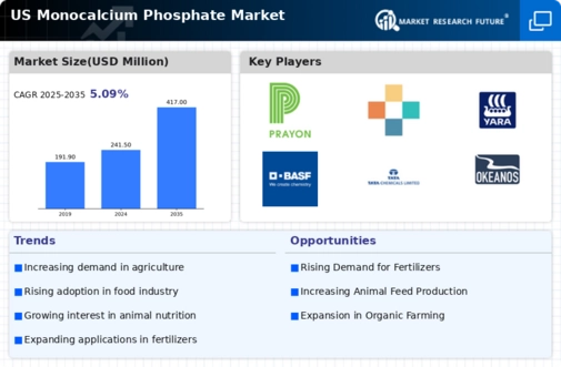 US Monocalcium Phosphate Market Infographic