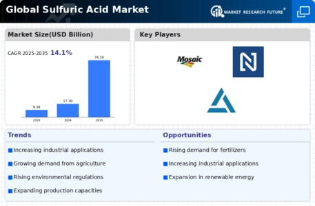 Sulfuric Acid Market Infographic