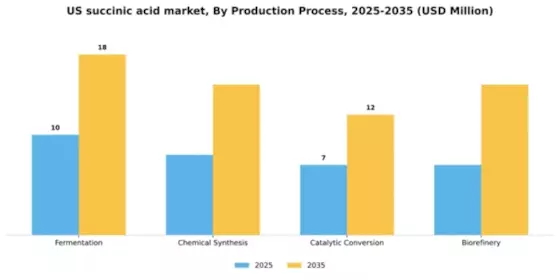 US Succinic Acid Market Segment Image 2