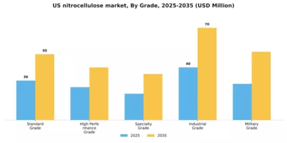 US Nitrocellulose Market Segment Image 3