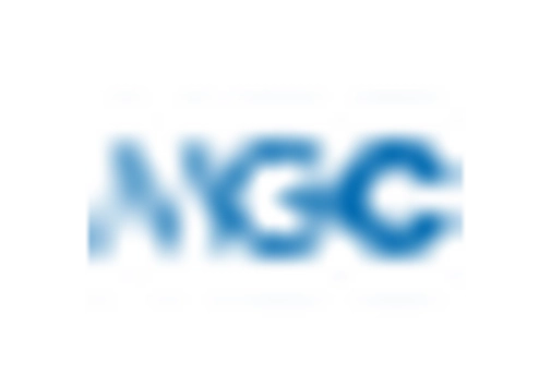 US Nitrocellulose Market key player