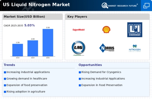 US Liquid Nitrogen Market Infographic