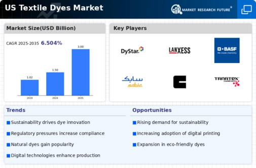 US Textile Dyes Market Infographic