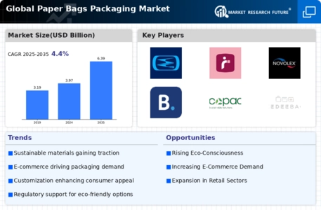 Paper Bags Packaging Market Infographic